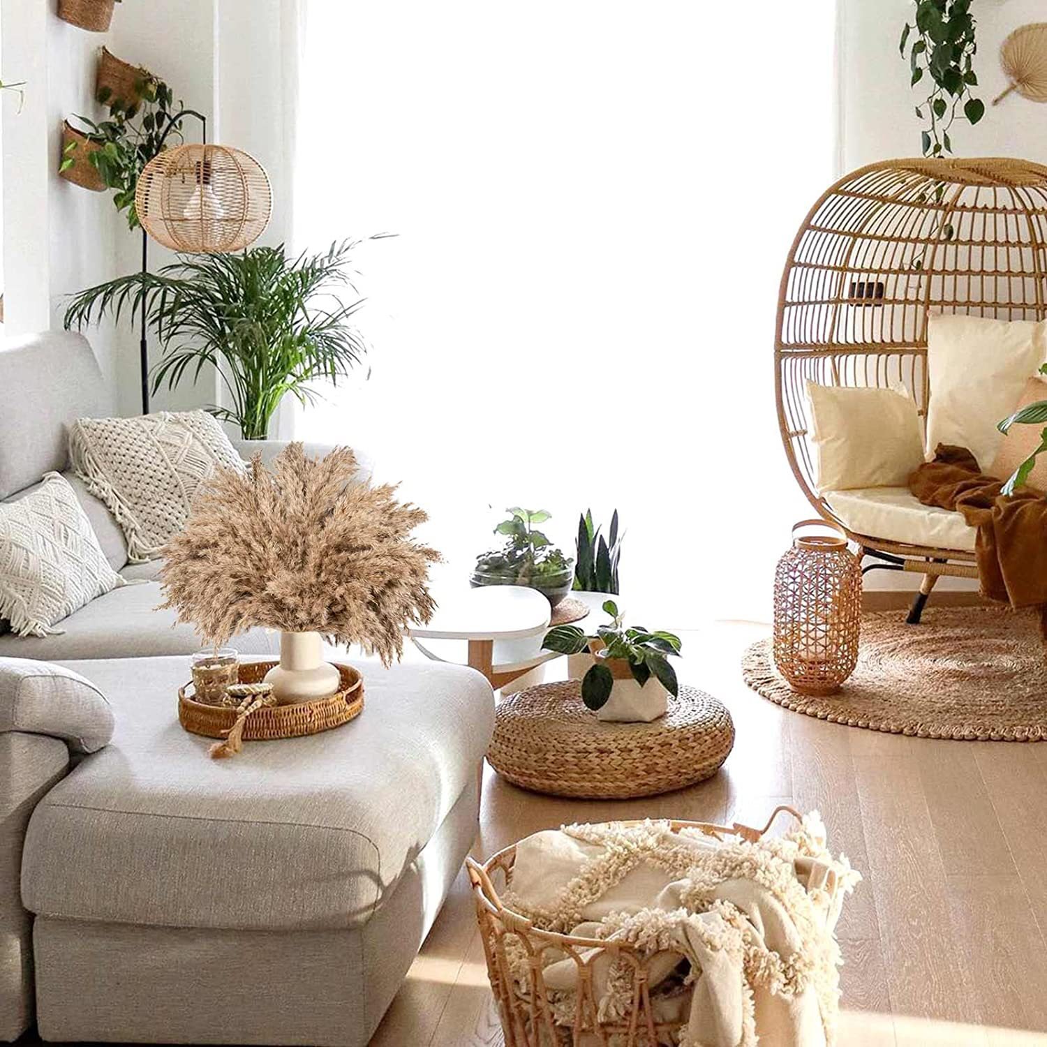 G4 Boho Decor Party wedding Decor Gift Natural Fluffy Brown Pampas Grass Dry Small Pampas Fall Decorations Bulk Pampa Grass
