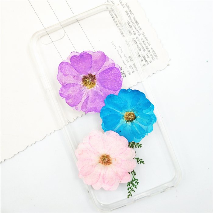 Chinese Rose Dry Real Flowers Bouquet Preserved Rose Dried Flowers Rosa Chinensis