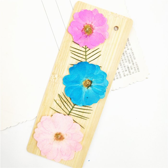 Chinese Rose Dry Real Flowers Bouquet Preserved Rose Dried Flowers Rosa Chinensis
