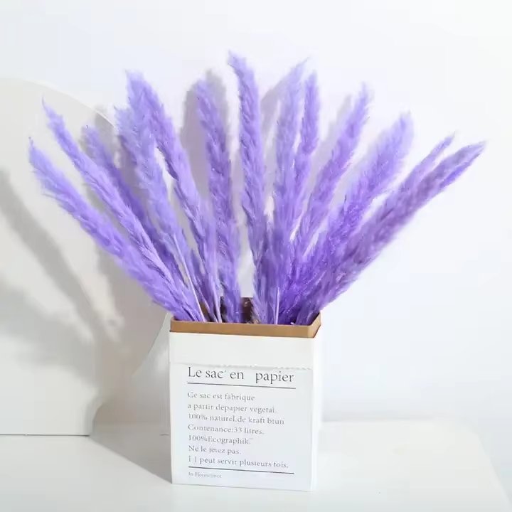 Natural Dried Decor Small Pampas Grass For Wedding Festival Flower Arrangements Home Decoration Composable colors