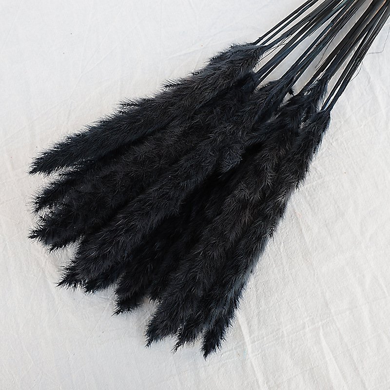 Natural Dried Decor Small Pampas Grass For Wedding Festival Flower Arrangements Home Decoration Composable colors