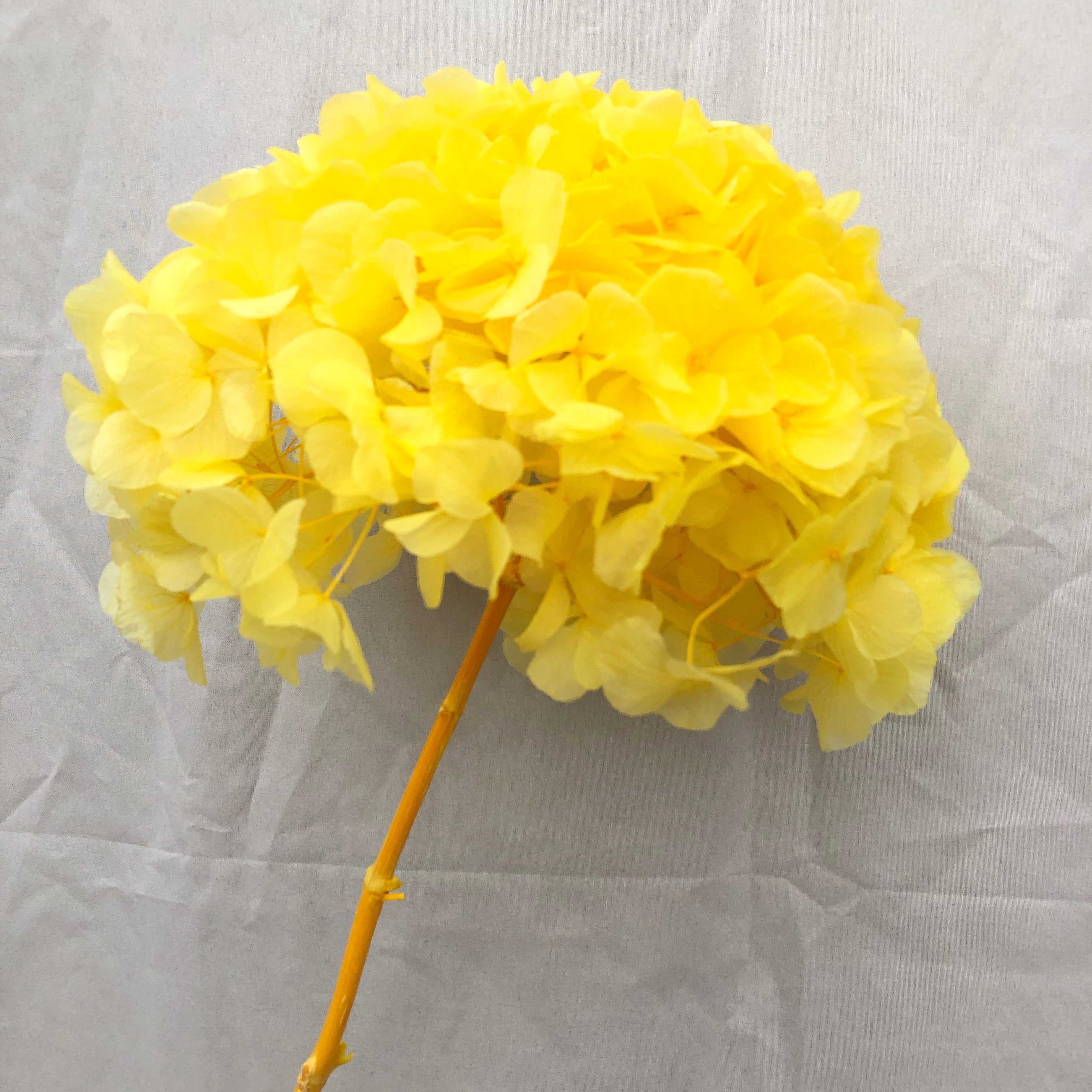 Wholesale Large leaf hydrangea High quality real touch orange pink hydrangea Decoration for wedding hydrangea flowers