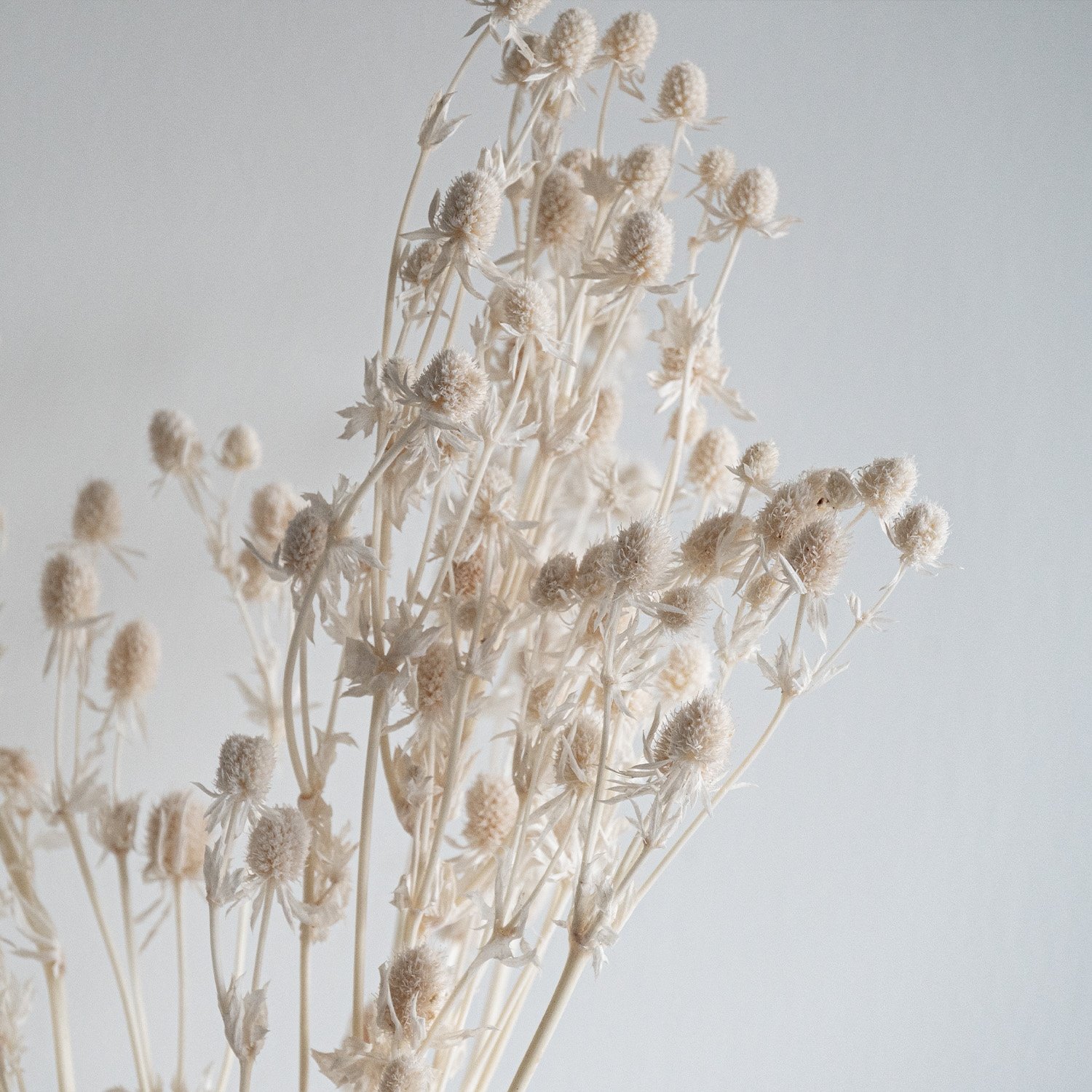 China Professional Manufacturer Beige Natural Dried Flowers Bouquet For Wedding