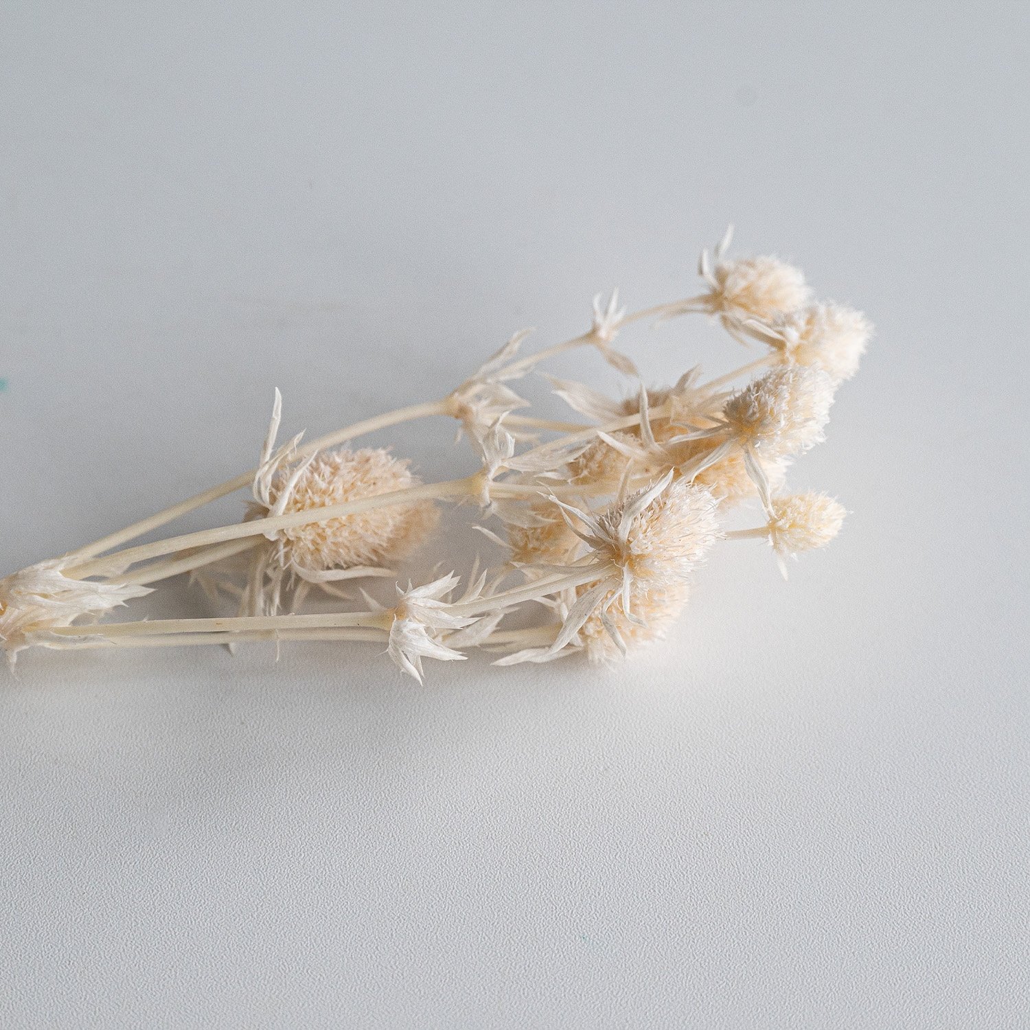 China Professional Manufacturer Beige Natural Dried Flowers Bouquet For Wedding