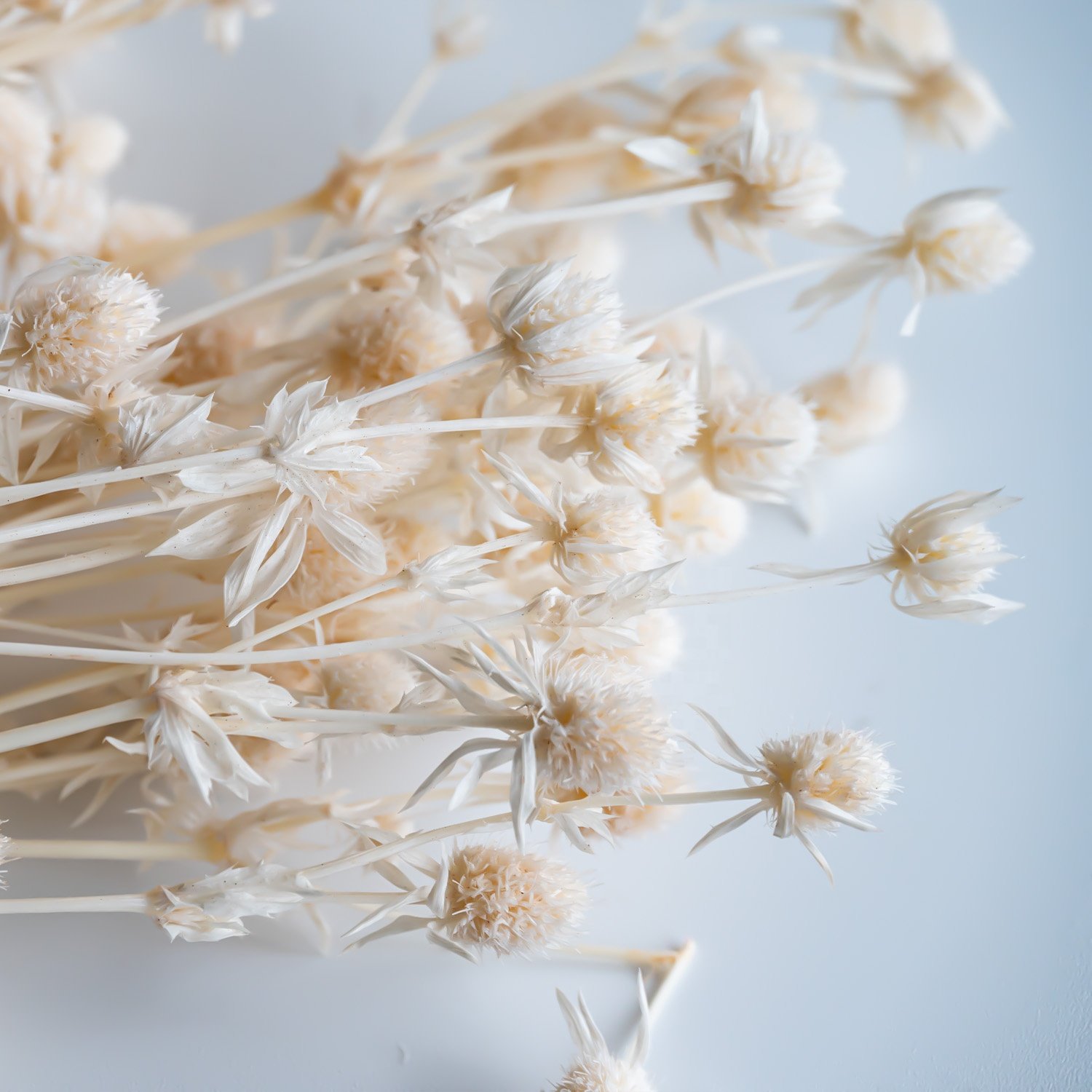 China Professional Manufacturer Beige Natural Dried Flowers Bouquet For Wedding