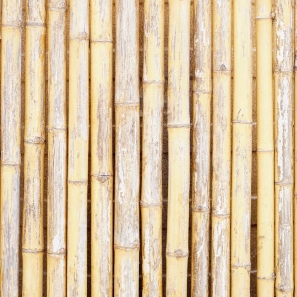 Popular High Quality Bamboo Reed Dried Flower Decor Event Decor Accents in Vases Floral Arrangements