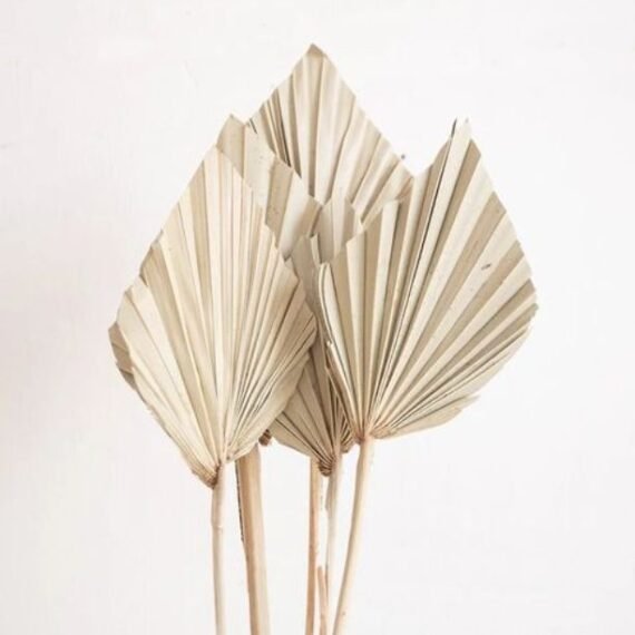 Good Quality Wedding Home Party decoration Dry Palm Spear Leaf Natural Dyed Preserved Dried Palm Leaves