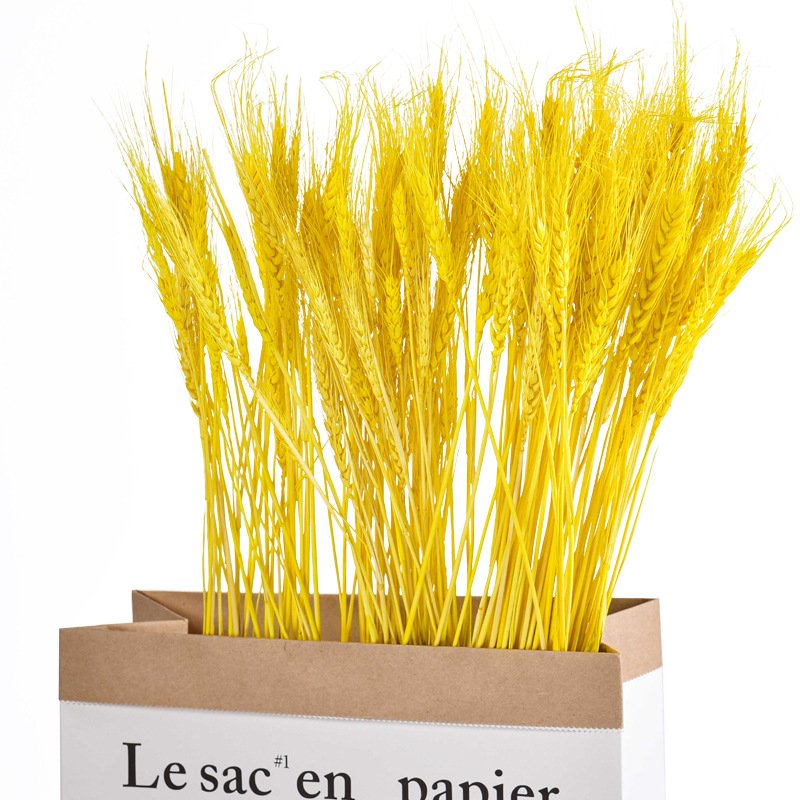 G13 50 Pcs Dried Wheat Stalks Simulation Plant Flowers Bouquet Golden Wheat Sheaves Props Decorating Artificial Wheat