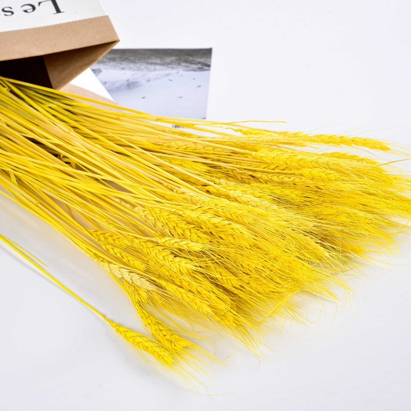 G13 50 Pcs Dried Wheat Stalks Simulation Plant Flowers Bouquet Golden Wheat Sheaves Props Decorating Artificial Wheat