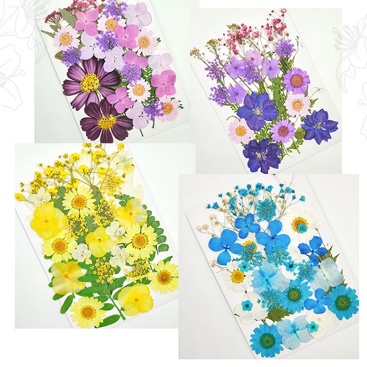 Factory Drectly Nails Candles Resin Epoxy Use Mini Potpourri Petals Pressed Preserved Dry Natural Plants Dried Flower