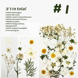 1#