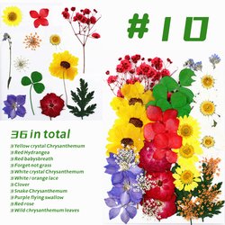 10#