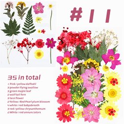 11#