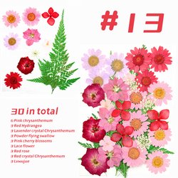 13#