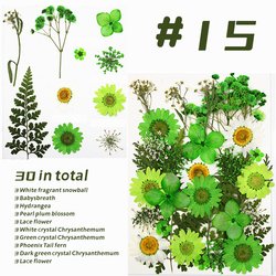 15#