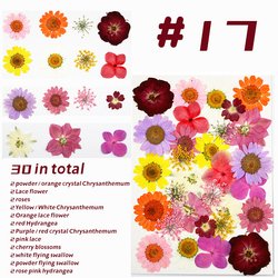 17#