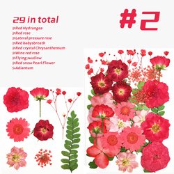 2#