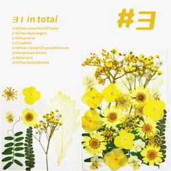 3#