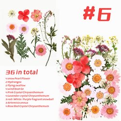 6#