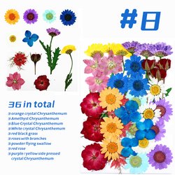 8#