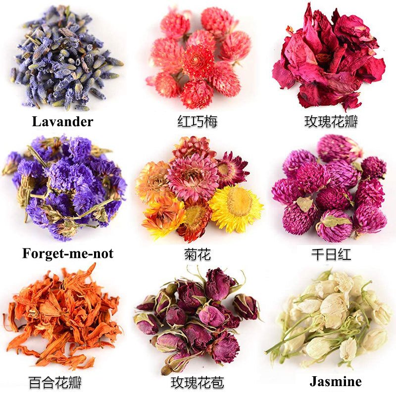 Wow Deal poppy flower dry 1kg price bag dried flower jewelry glass vase packaging dried flower bouquet gift box