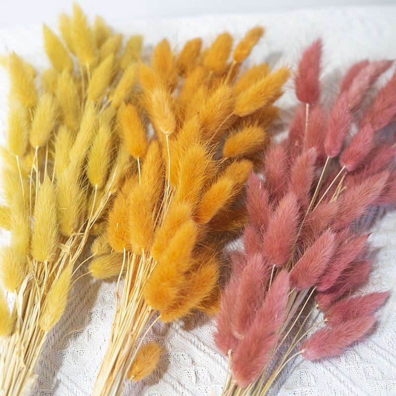 Boho Wedding Decor Bridal Bouquet Dusty Pink Dried Flowers 60 Natural Phalaris Lagurus Dried Bunny Tails