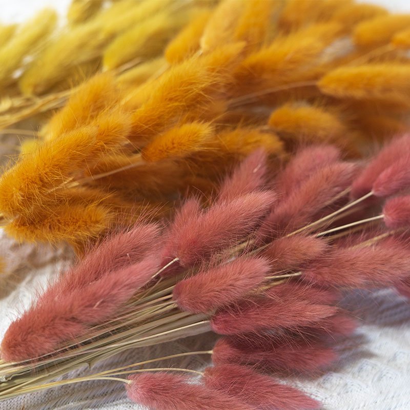 Boho Wedding Decor Bridal Bouquet Dusty Pink Dried Flowers 60 Natural Phalaris Lagurus Dried Bunny Tails