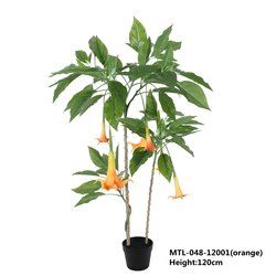 120cm