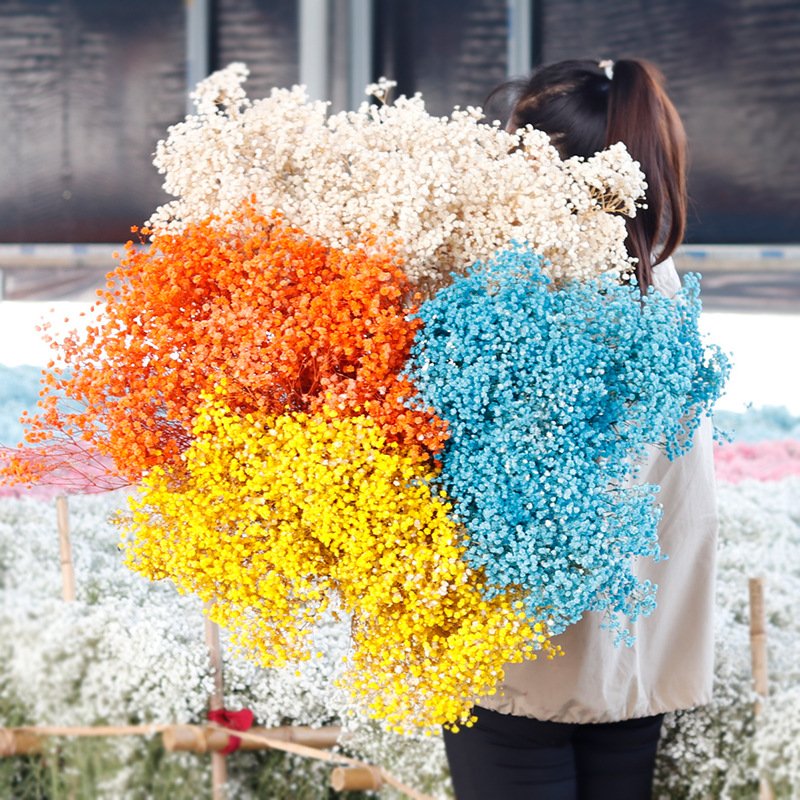 G72 400g Wholesale Dried Flowers Preserved Natural Gypsophila Babys Breath Bouquet Wedding Floral Flower Arrangement Babysbreath