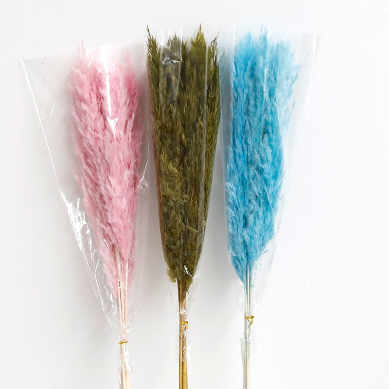 Manufacturer wholesale 43cm Pampas grass Eternal pampas Dried flowers Large beige pampas grass for Home decor