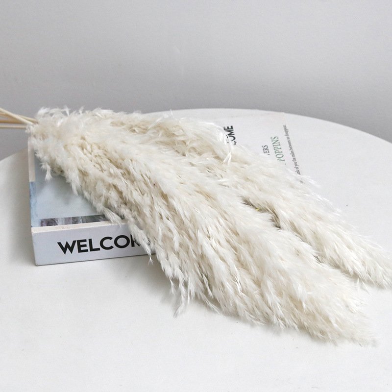 Manufacturer wholesale 43cm Pampas grass Eternal pampas Dried flowers Large beige pampas grass for Home decor