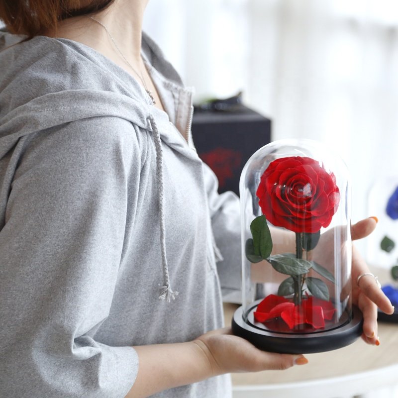 Kaiser`s Perflower Wholesale Little Prince Dried Flower Immortal Fleur Stabilized Eternal Preserved Forever Rose in Glass Dome