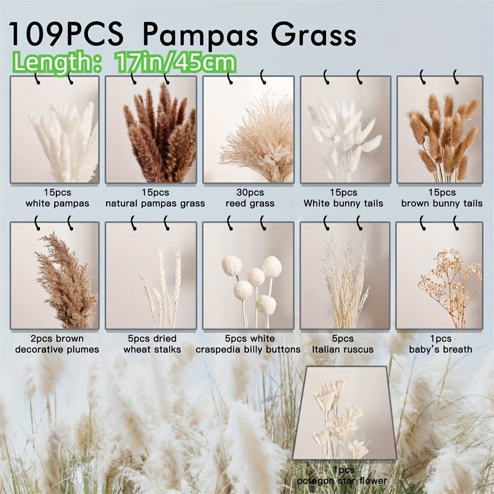 Hot Selling 109 PCS Nature Reed Grass And Dried Bunny Tails Small Pampas Grass Real Dried Flowers Bouquet