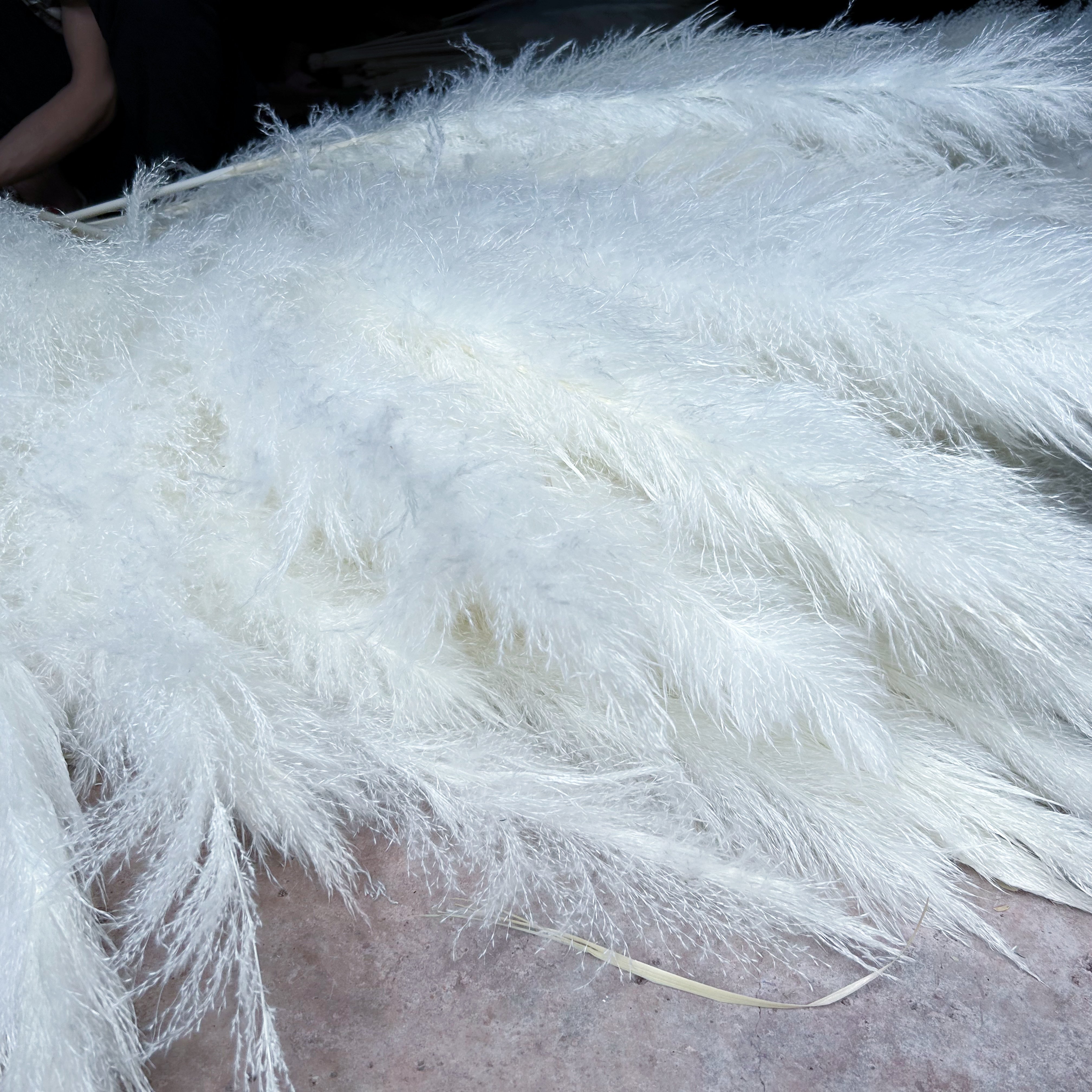 wholesale Dried Flower Natural Large Fluffy White Dried Pampas Grass for Wedding Christmas Easter-for Boho Home Decor
