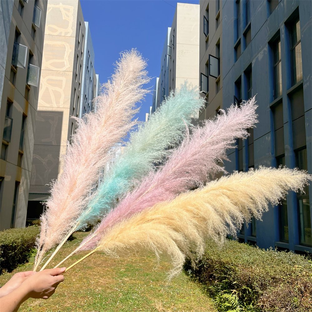 wholesale Dried Flower Natural Large Fluffy White Dried Pampas Grass for Wedding Christmas Easter-for Boho Home Decor