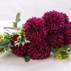 Color7
