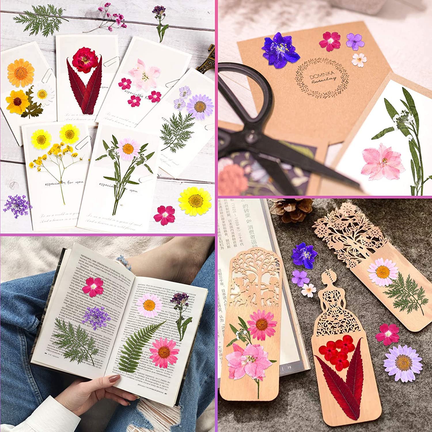 Nuanchu Pressed Flowers Resin Flowers for Resin Mold, Real Daisy Dried Flower Leaves Natural with Tweezers for Scrapbooking DIY