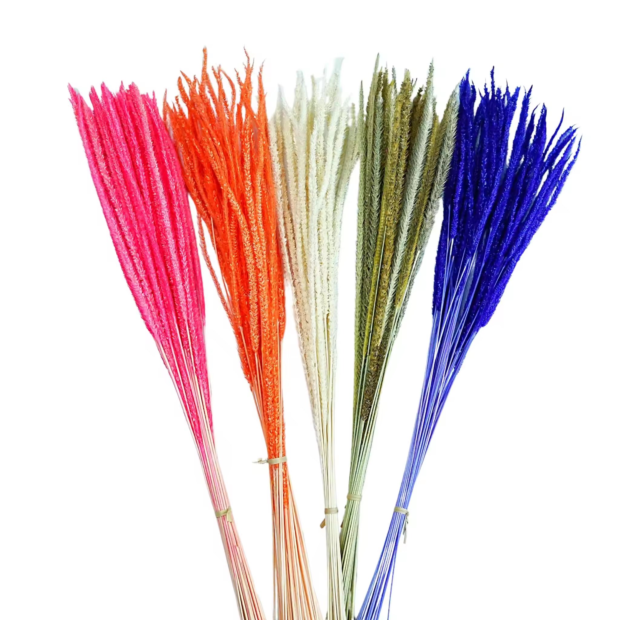 New Product color Preserved Kirin Grass dried flower grass Decoration for wedding decor