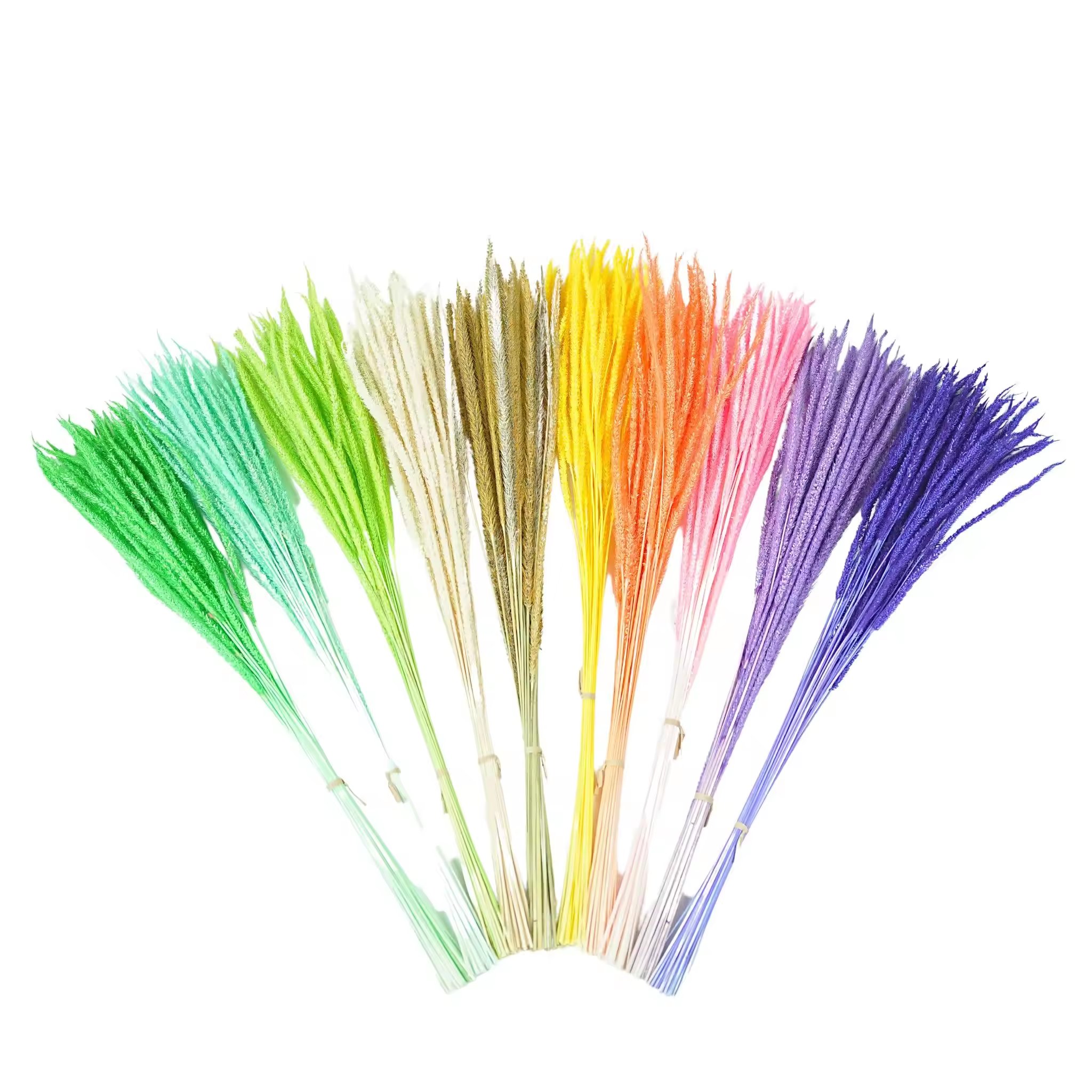 New Product color Preserved Kirin Grass dried flower grass Decoration for wedding decor