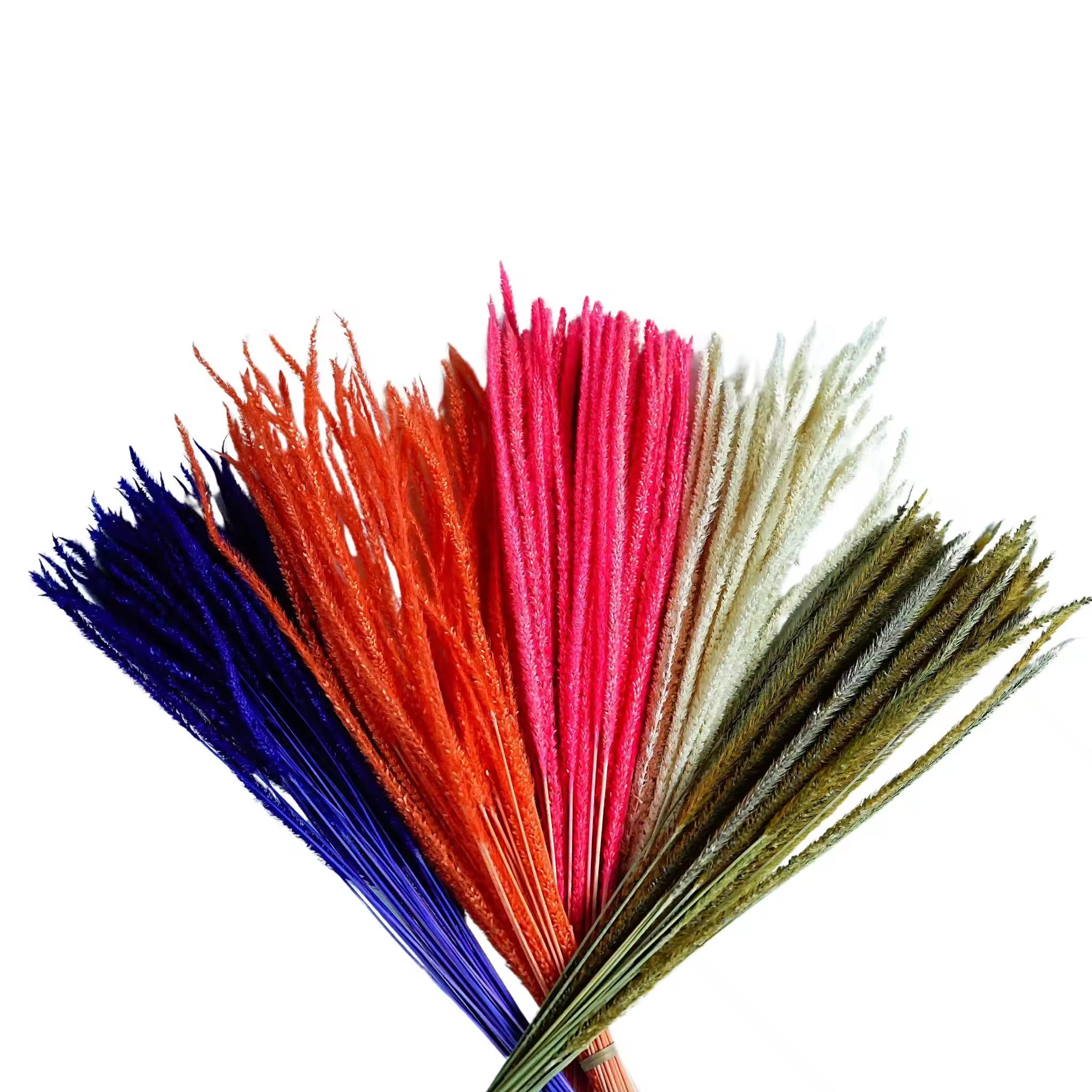 New Product color Preserved Kirin Grass dried flower grass Decoration for wedding decor