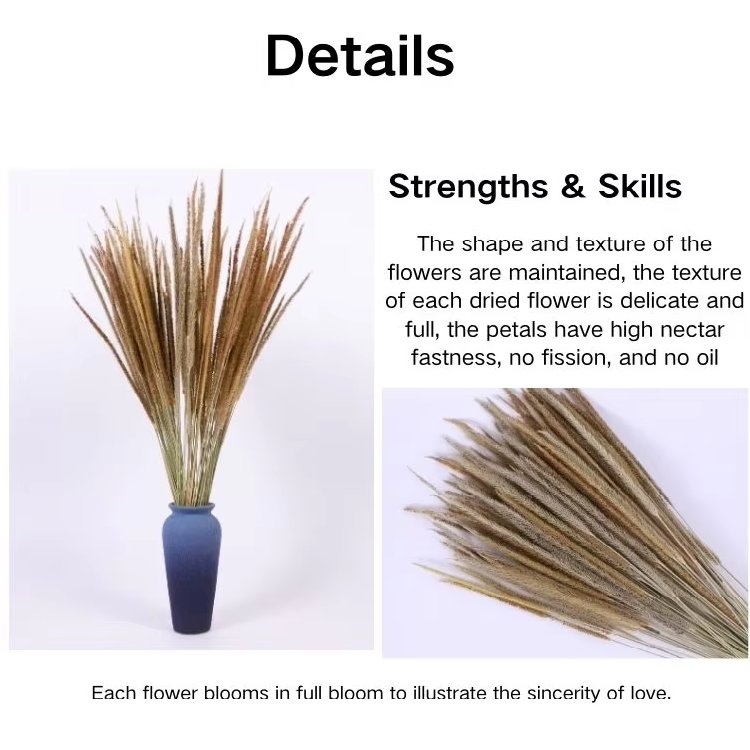 New Product color Preserved Kirin Grass dried flower grass Decoration for wedding decor