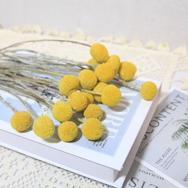 Craspedia billie balls luxury romantic wedding unique decor dried flowers bouquet