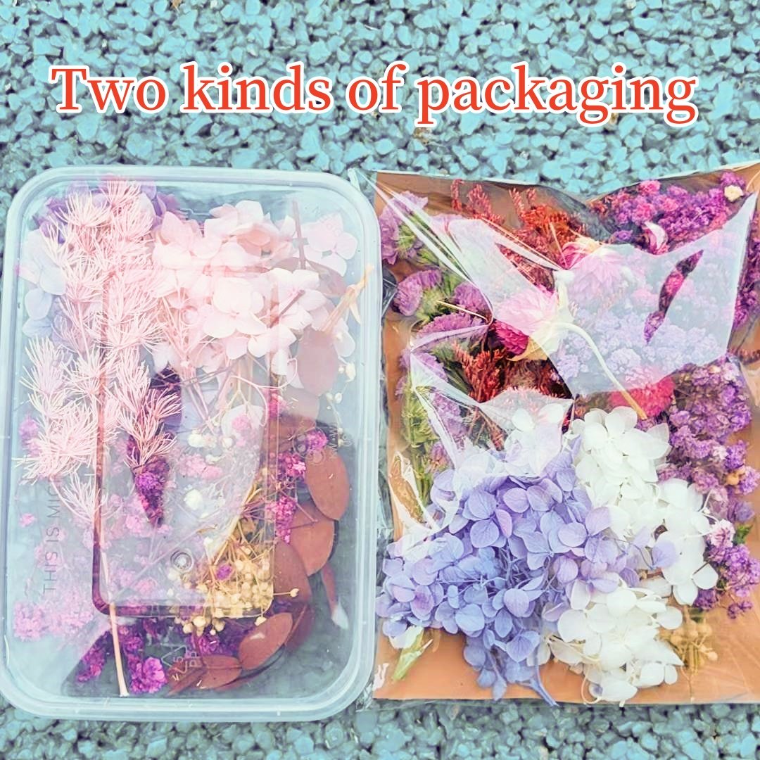 Dry Flowers In Plastic Boxed/Bags Preserved Stabilized Flower Wholesale For Candle Making Flower DIY Small Resin Materials Set