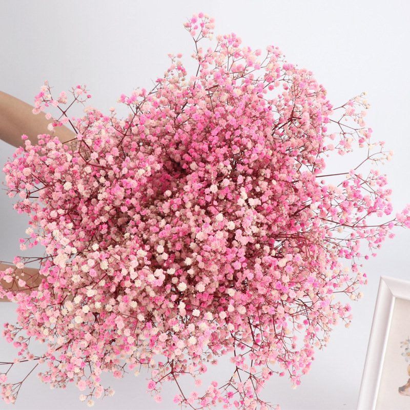 Dried Baby Breath Preserved Flower Hot Sale Dried Flowers Preserved Baby's Breath Dried Gypsophila