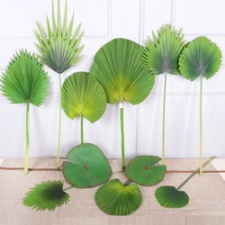 Palm