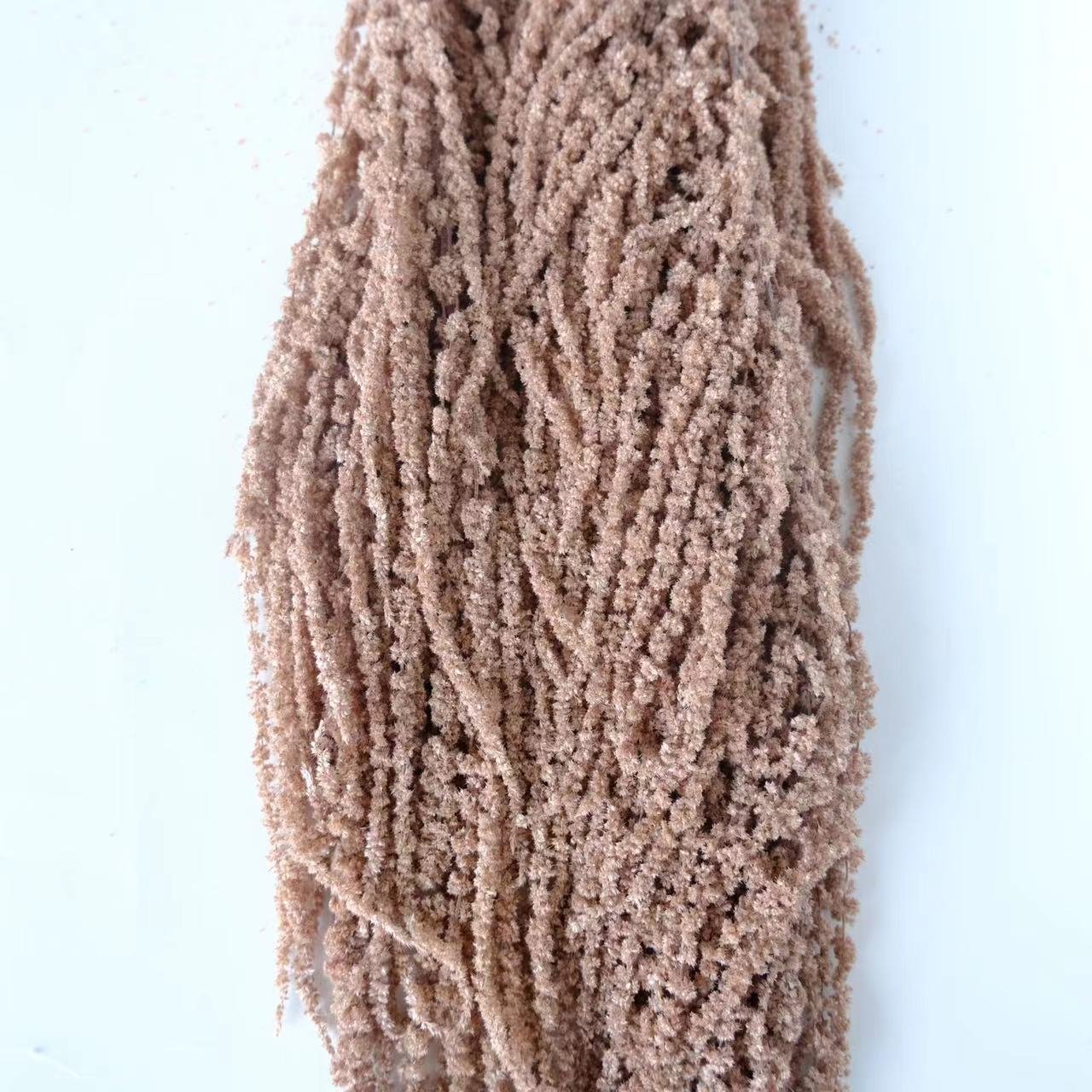 2024 the hot seller flower preserved amaranth for wedding/home/event decoration and flower arrangement