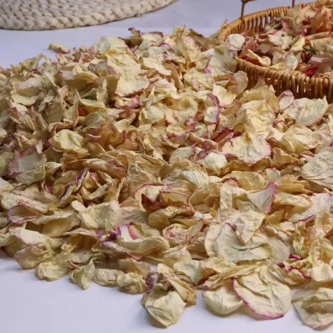 100% Natural Wedding Confetti Dried White Rose Pink Edge Biodegradable Dried Flowers Confetti Roses Petals
