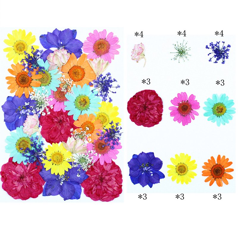 Handicraft Flower Press Bulk Mixed Pack Fresh Real Dried Flower For Resin Art Dry Flower DIY Glue Filling Material Mini Material