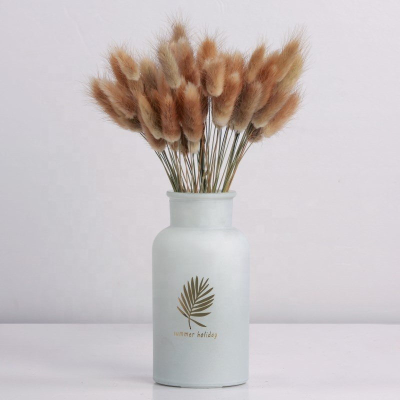 Factory Price Wholesale Dry Rabbit Tail Grass Natural Dried Flowers and Plants lagurus