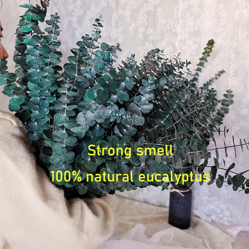 Natural Green Preserved Dried Eucalyotus Eternal Eucalyptus Bouquet Leaves Preserved Flowers Wedding Arrangements Bouquet Decor